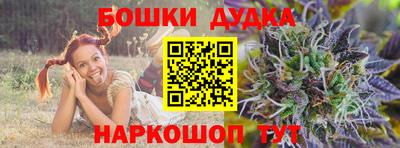 крисы Аргун